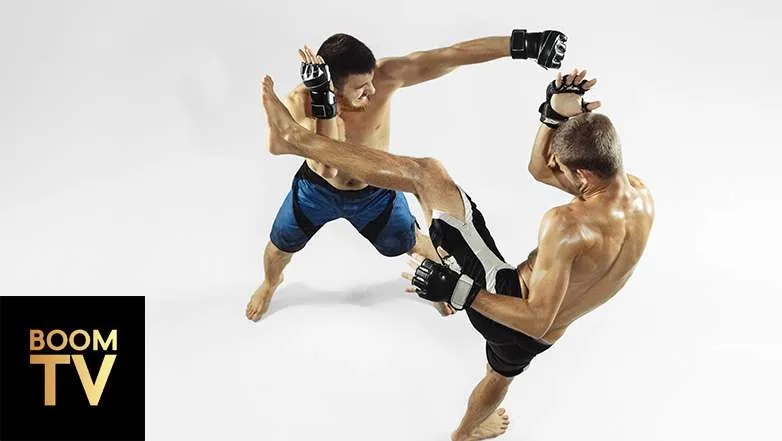free MMA streaming sites